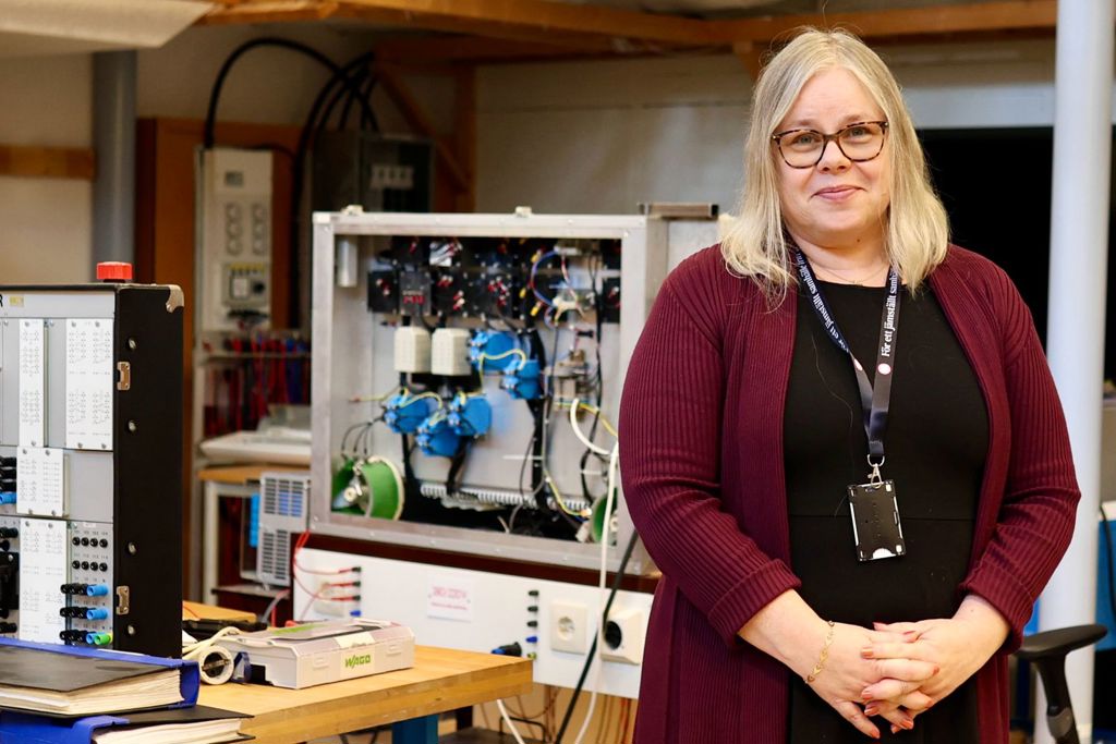 Sarah Rönnberg, Professor at Luleå University of Technology in Skellefteå.